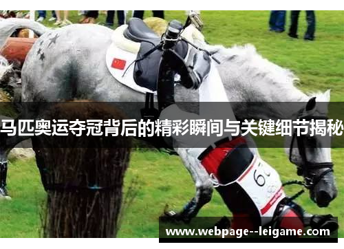 马匹奥运夺冠背后的精彩瞬间与关键细节揭秘